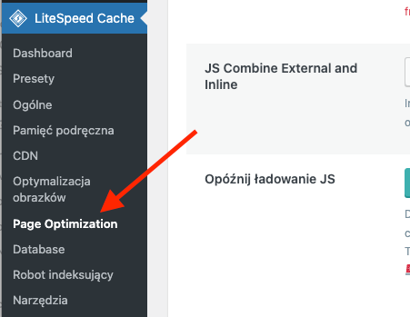 LiteSpeed Cache Page Optimization