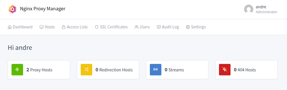 Nginx Proxy Manager on TrueNAS Scale: Installation, Configuration, and Troubleshooting 4 Nginx Proxy Manager Dashboard