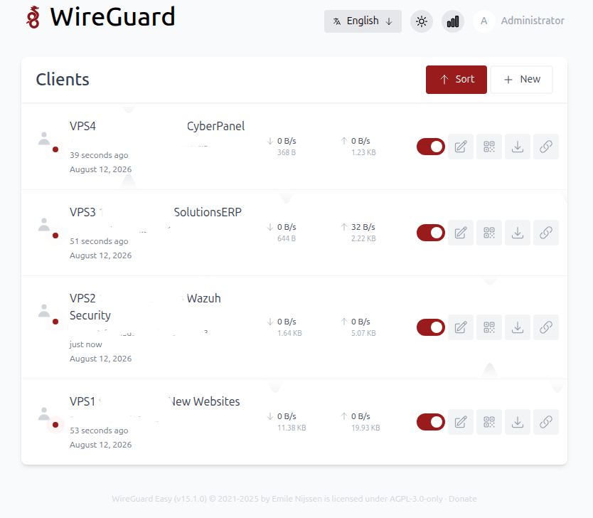 WireGuard1 1