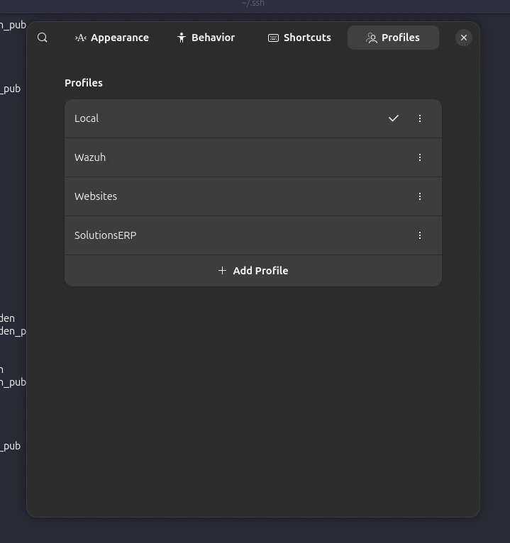 SSH Terminal Profile 1