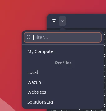 SSH Terminal Profile 2